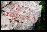 Durmitor - Zabljak -30-06-2013 - Bogdan Balaban